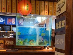 -鸟鹏烧鸟居酒屋(熙龙湾店)