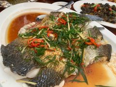 -头塘庄园(农家乐)