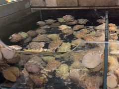 -日丰园海肠水饺·老字号大连海鲜(和平广场店)