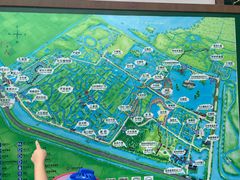 -泗洪洪泽湖湿地景区