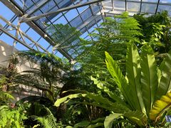 -北京植物园-展览温室