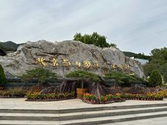 -北京西山国家森林公园