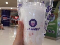 -一只酸奶牛(八一路店)