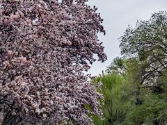 -元大都城垣遗址公园