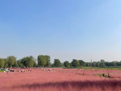 -汉长安城未央宫国家考古遗址公园