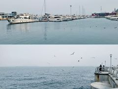 -星海广场