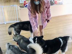 -Husky Go! 哈士奇体验馆·宠物咖啡厅狗咖