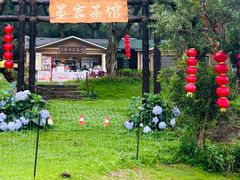 -大姆山草场