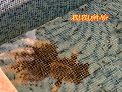 -东方之珠洗浴休闲广场(大港店)