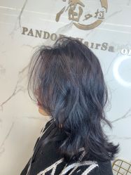 -潘多拉Hairsalon