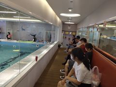 -水贝乐国际水育儿童游泳中心(新业广场店)