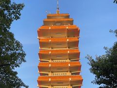 -鹅岭公园瞰胜楼