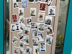 -达爱动物医院·犬猫分区·CT·复杂眼科(远洋山水分院)