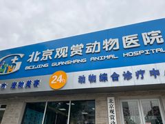 -北京观赏动物医院·24小时大型综合·猫专科·异宠专科