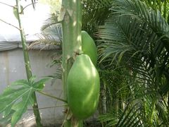 -天源吉布世温泉水乐园