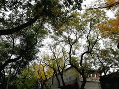 -东华门大街小区