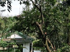-广州兰圃