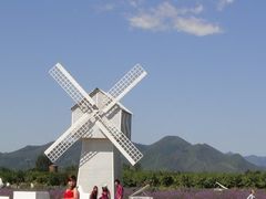 -北京东方普罗旺斯薰衣草庄园