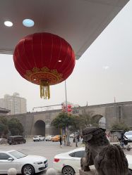 -雍禾植发全国连锁