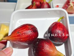 -北京海德酒店温泉