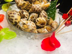 海螺-御花园·粤菜·海鲜火锅(中山公园店)