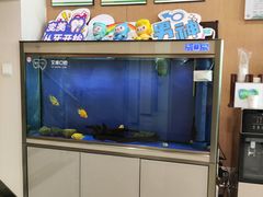 -艾维口腔(春江花月门诊部)