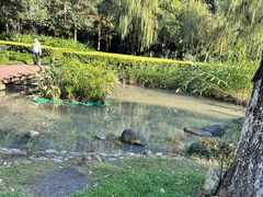 -苏州河梦清园环保主题公园