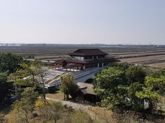 -大湾区中央湿地公园