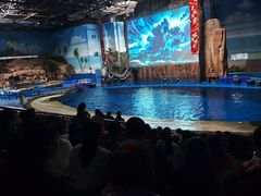 -华夏文旅海洋公园