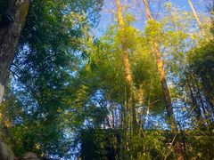 -三江森林温泉度假区