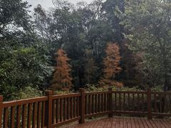 -广州市石门国家森林公园