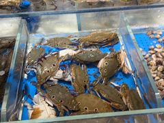 -加餐海鲜自助(集美银泰百货店)