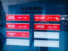 -芜湖新华联大白鲸海洋公园