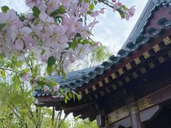 -海棠花溪(元大都城垣遗址公园)