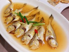 小梅鱼-石砰渔港·海鲜楼