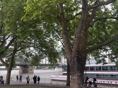 -莱茵河畔老街