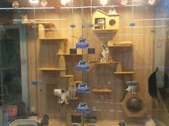 -米卢宠物公园(广华居店)