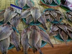 -西归浦每天偶来市场