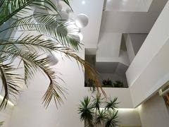 -青梅酒肆PLUS(长白仙岛北路店)