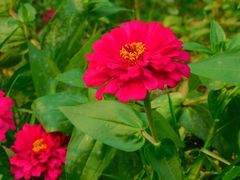 -永定河休闲森林公园