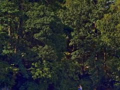 -溪口-滕头旅游景区