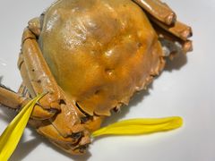 -蟹榭(静安寺晶品商场店)