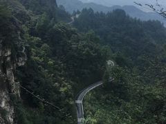 -梦幻奥陶纪景区