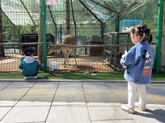 -大鹅岛绿色生态美食园