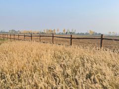 -汉长安城未央宫国家考古遗址公园