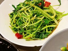 炝炒鸡毛菜-日上三甘(三里屯店)
