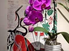 -贵州人家·酸汤火锅·20年老字号