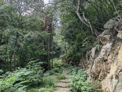 -素山寺森林公园