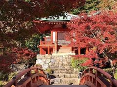 -醍醐寺