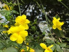 -UNI UNI(环亚凯瑟琳店)